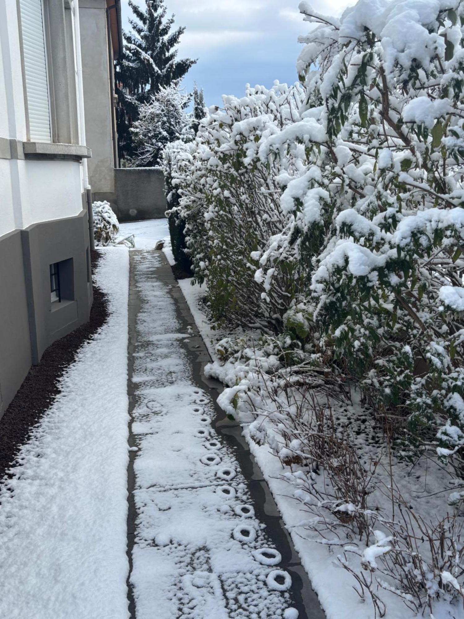 Bel Appartement Centre Climatise Parking Prive Colmar Exterior foto