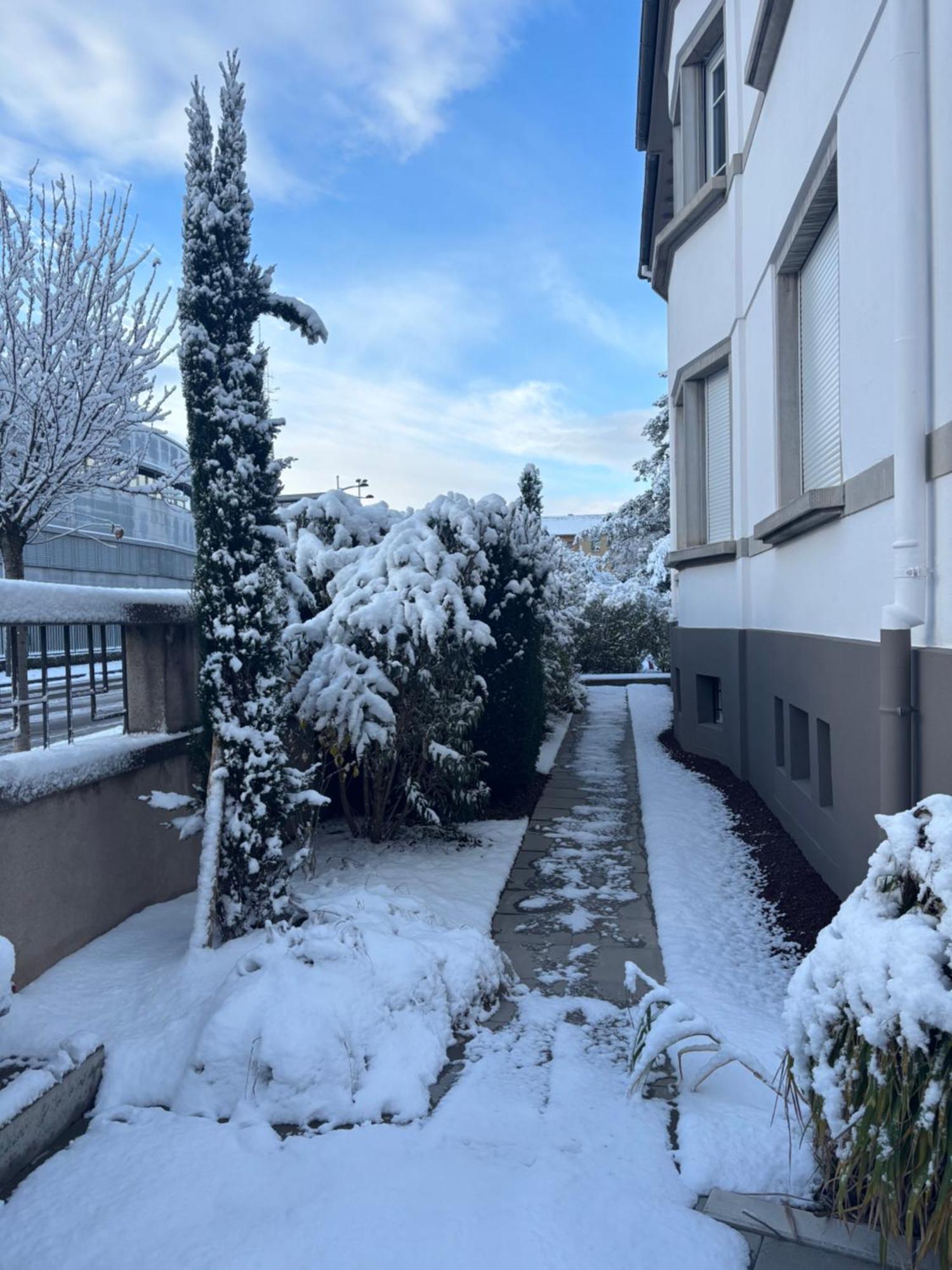 Bel Appartement Centre Climatise Parking Prive Colmar Exterior foto